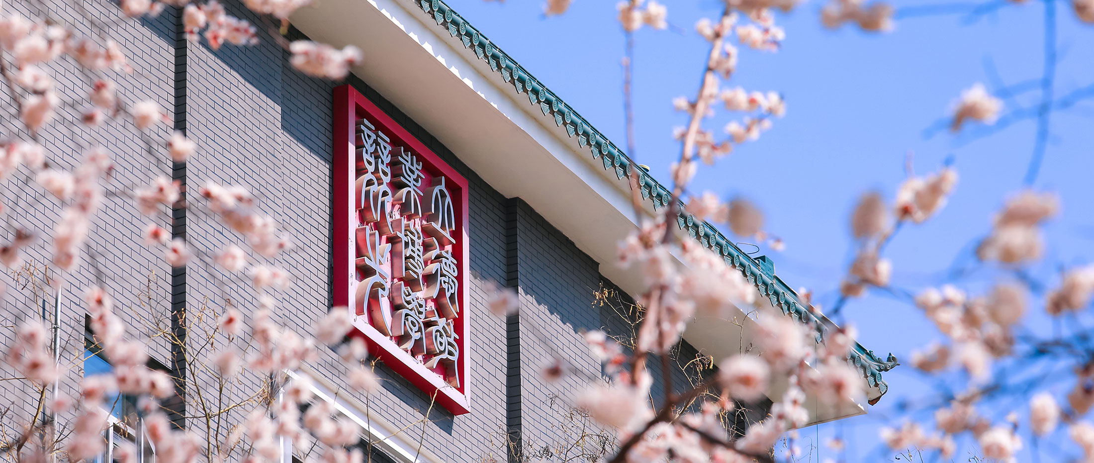 大美中传，启智润心